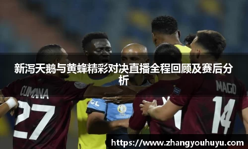 bwin官方网站